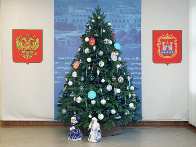 В Калининградской области дали старт акции «Елка желаний»