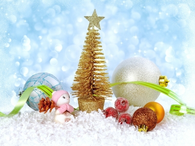 Жителям Мурманской области рассказали, во сколько обойдется украшение елки