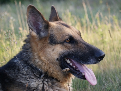 В школе Горки‑2 ищут взрывчатку после нападения подростка