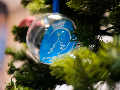 Игорь Мартынов исполнил детские мечты на «Елке желаний» в Камызякском районе