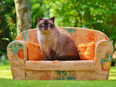 На модернизацию завода кормов в Дмитрове выделят 150 млн рублей