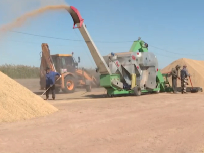Рис из Приволжского района Астрахани увеличил экспорт и покоряет Беларусь