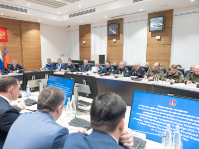 В Волгограде запретили салюты в новогодние праздники