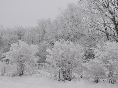 Ночью в Подмосковье зафиксированы 20-градусные морозы