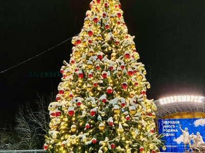 В Североморске установили новогоднюю елку с Wi-Fi