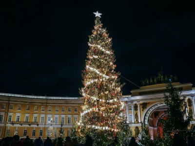 На Дворцовой площади Петербурга начали украшать главную городскую ель