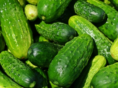 С начала года в Подмосковье вырастили свыше 130 тысяч тонн тепличных овощей