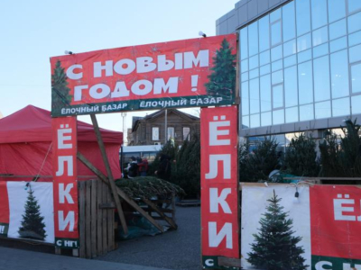 К Новому году готовы в Астрахани открылись елочные базары