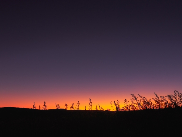 Плазменное облако летит к Земле - Фото