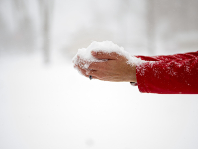 В Тюмени 29 декабря ожидаются снегопады