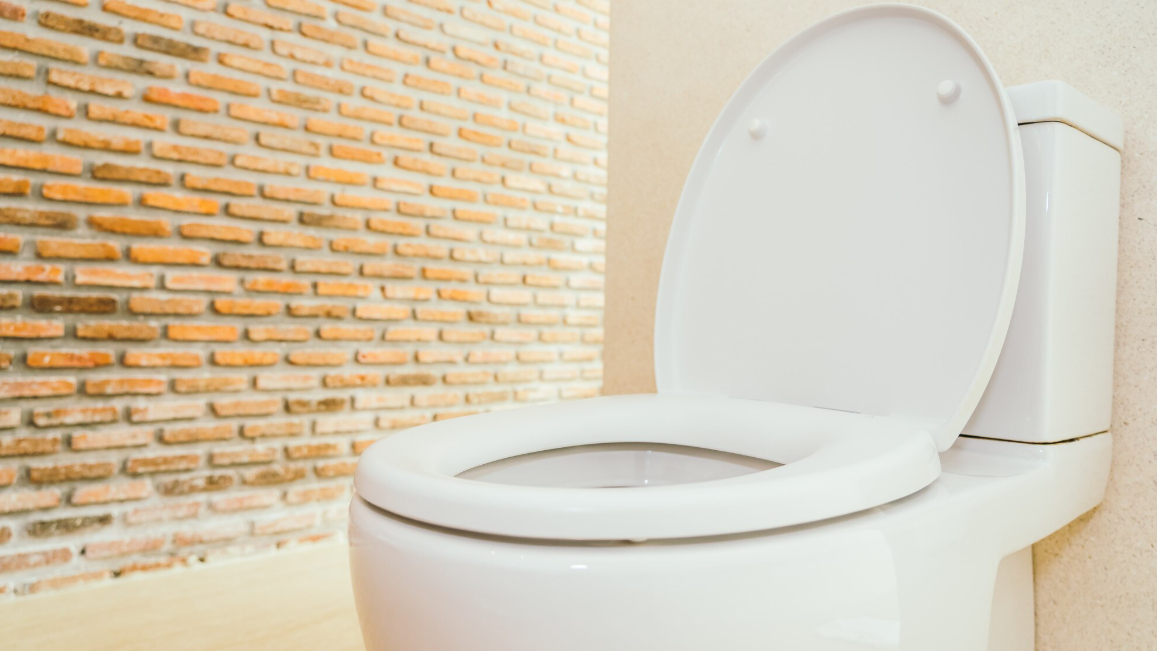 унитаз, туалет