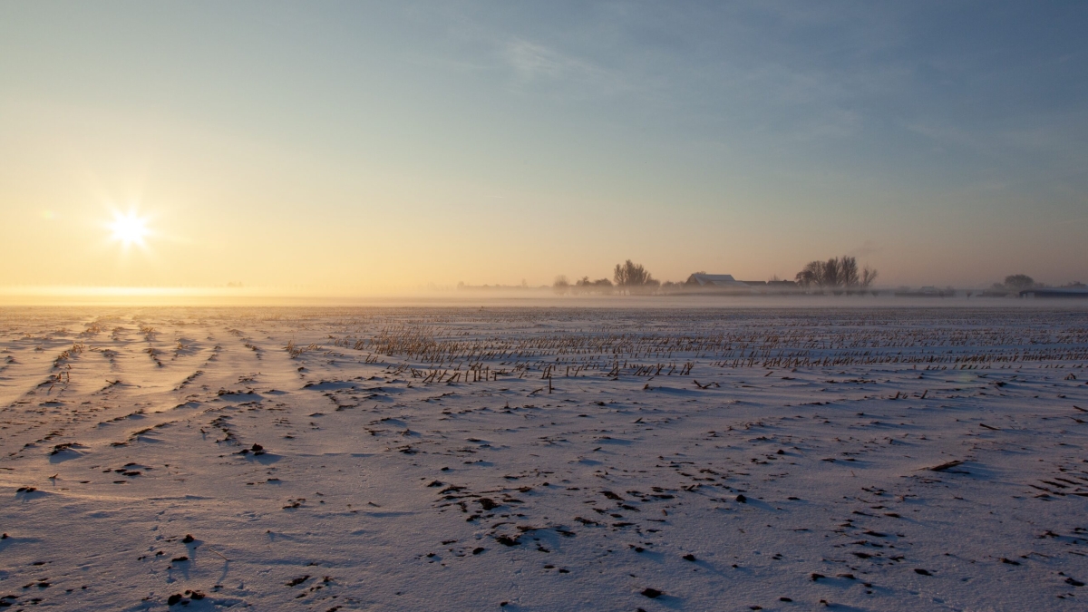 зимняя степь, зима, снежное поле