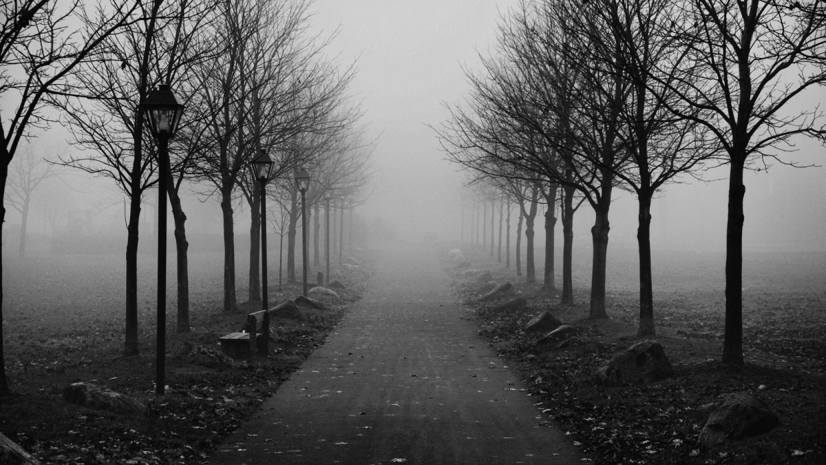 туманный город