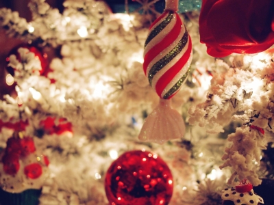 Украшение ели к Новому году обойдется петербуржцам в немаленькую сумму