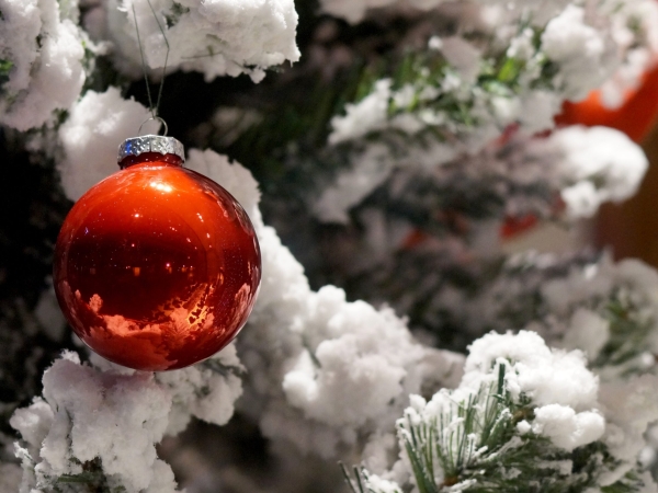 Авито выяснило, какие мечты хотят воплотить россияне в 2026 году - Фото