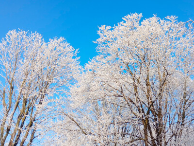 Синоптики рассказали, когда в Тверскую область придут морозы