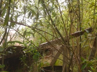Нарушение требований Водного кодекса выявлено и пресечено в Астраханской области