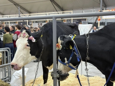 В Ярославской области развивают геномную селекцию КРС