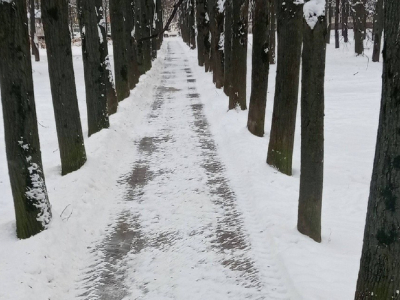 В Домодедове на уборку снега вышли почти 90 единиц техники