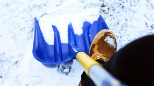 В России дворникам готовы платить почти 100 тыс. рублей в месяц - Фото