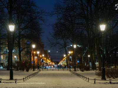 В петербургском саду Салтыкова-Щедрина обновили освещение