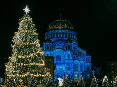 Новогодняя ель в Кронштадте победила во Всероссийском конкурсе «Елки России»