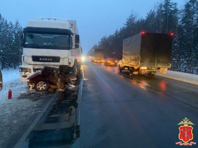 Полиция проводит проверку по факту смертельного ДТП на трассе «Кола» в Ленобласти