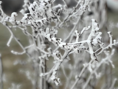 В Екатеринбурге 23 января прогнозируется до -32 градусов