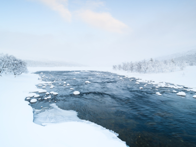 Бастрыкин взял на контроль дело об убийстве ребенка в Санкт-Петербурге
