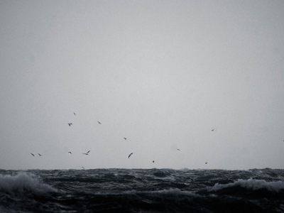 БГА ищет безопасную стоянку для барков «Седов» и «Крузенштерн»