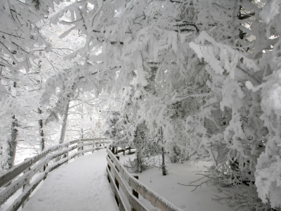 В Костромской области ввели режим повышенной готовности из-за аномальных морозов