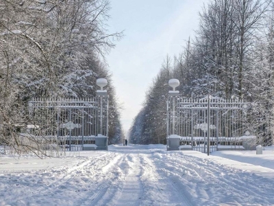В Павловском парке после реставрации открыли Этюпские ворота