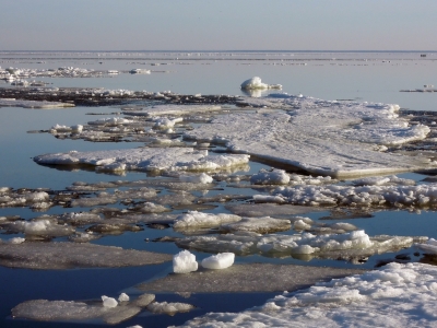 Специалисты дали прогноз на весенний паводок в Ярославской области