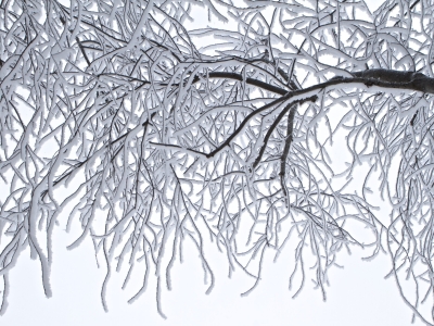 В Москве похолодает до -16 градусов