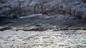 Социальные проекты Арктики поддержат грантами - Фото