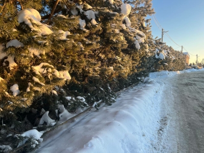 В Екатеринбурге 8 февраля ожидается облачная погода и до -11 градусов