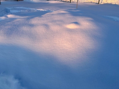 В Тюмени 20 февраля выйдет солнце