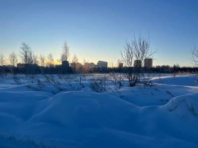 В Тюмени 8 февраля не ожидается осадков