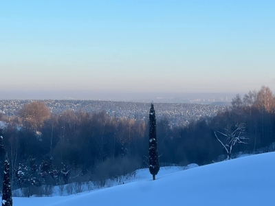 В Тюмени прогнозируют порывы ветра до 10 метров в секунду