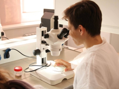 В Калининградской области откроют три новых кластера «Профессионалитета»