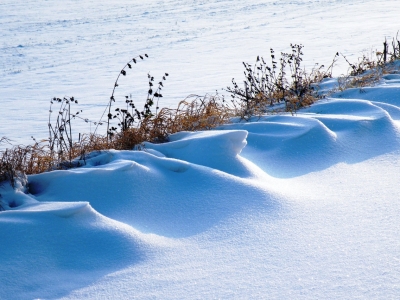 В Москве выросли гигантские сугробы