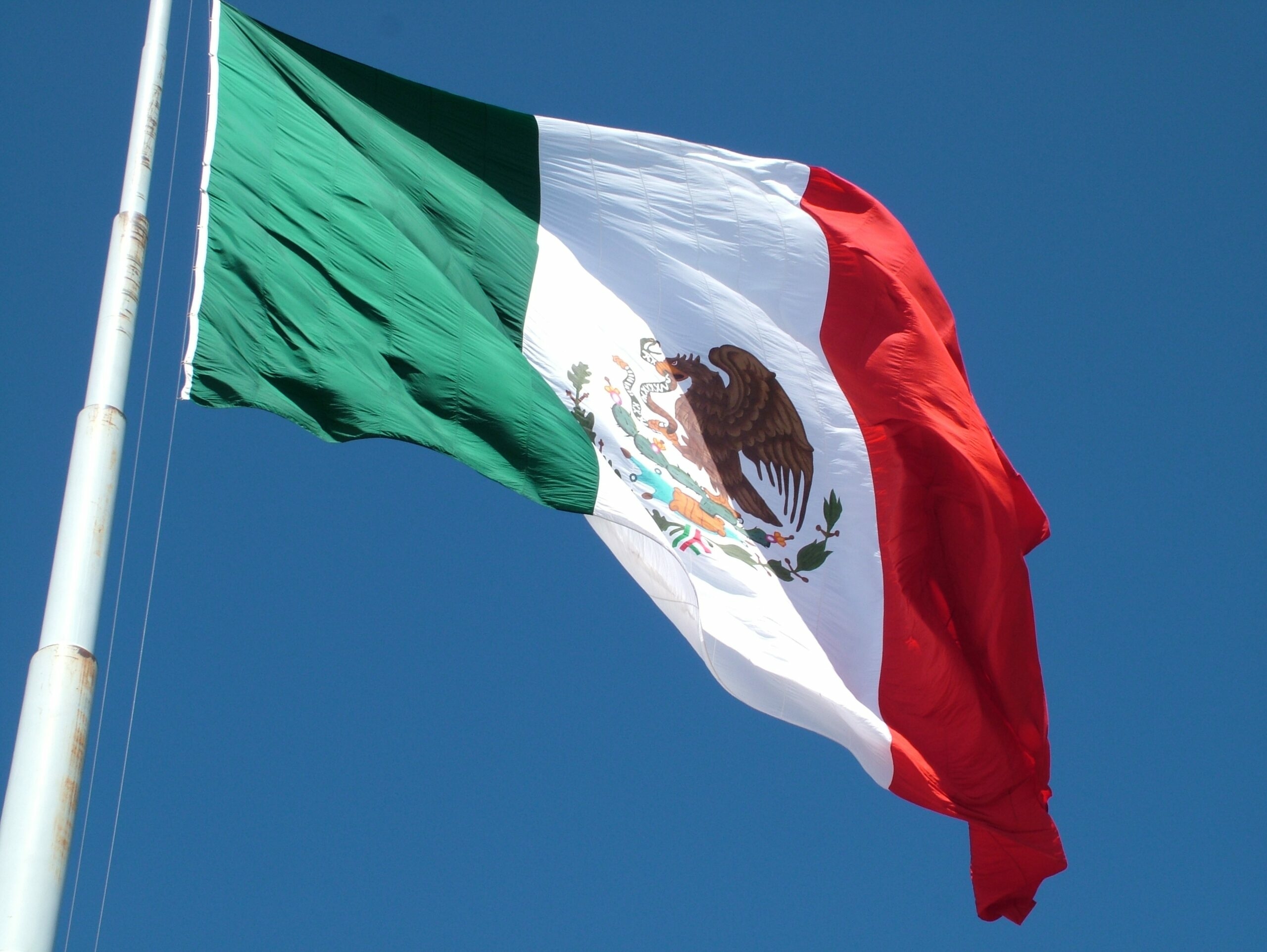 Printable Mexican Flag