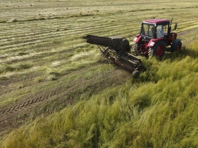 Ярославская область направит более 780 млн рублей на поддержку АПК