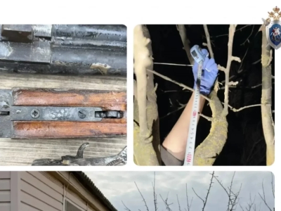 Астраханец застрелил соседа из-за спора о границах участка