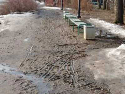 Дендропарк на Первомайской закроют с 1 апреля в Екатеринбурге