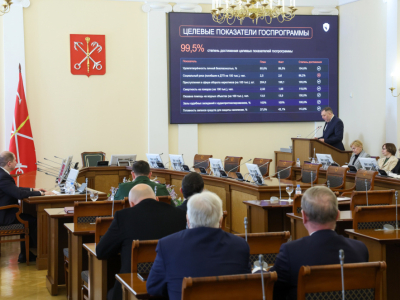 В Петербурге уличная преступность за прошлый год сократилась на 19,5%