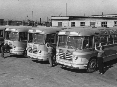 Автобусный парк №3 в Петербурге перевез больше 18 миллионов пассажиров за год