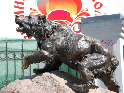 В Ярославской области выделили еще 203 млн на «умных» медведей