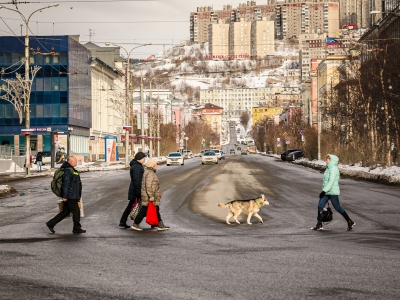 В Заполярье свыше 150 жителей подали заявления на переобучение по проекту «Кадры»
