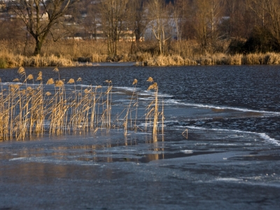 Паводок в Мурманской области прогнозируют в середине мая